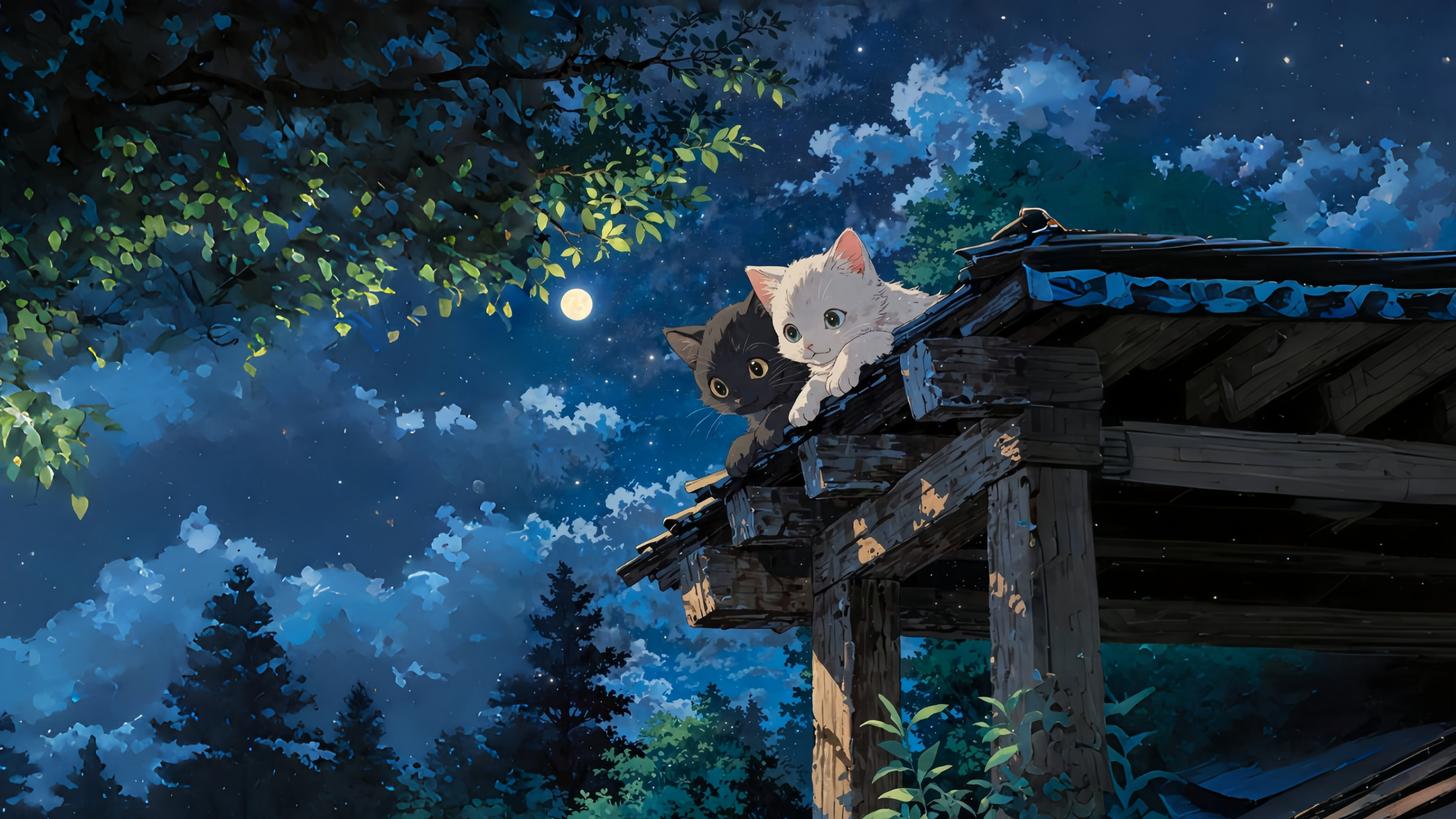 夜晚-夜晚黑猫白猫.png