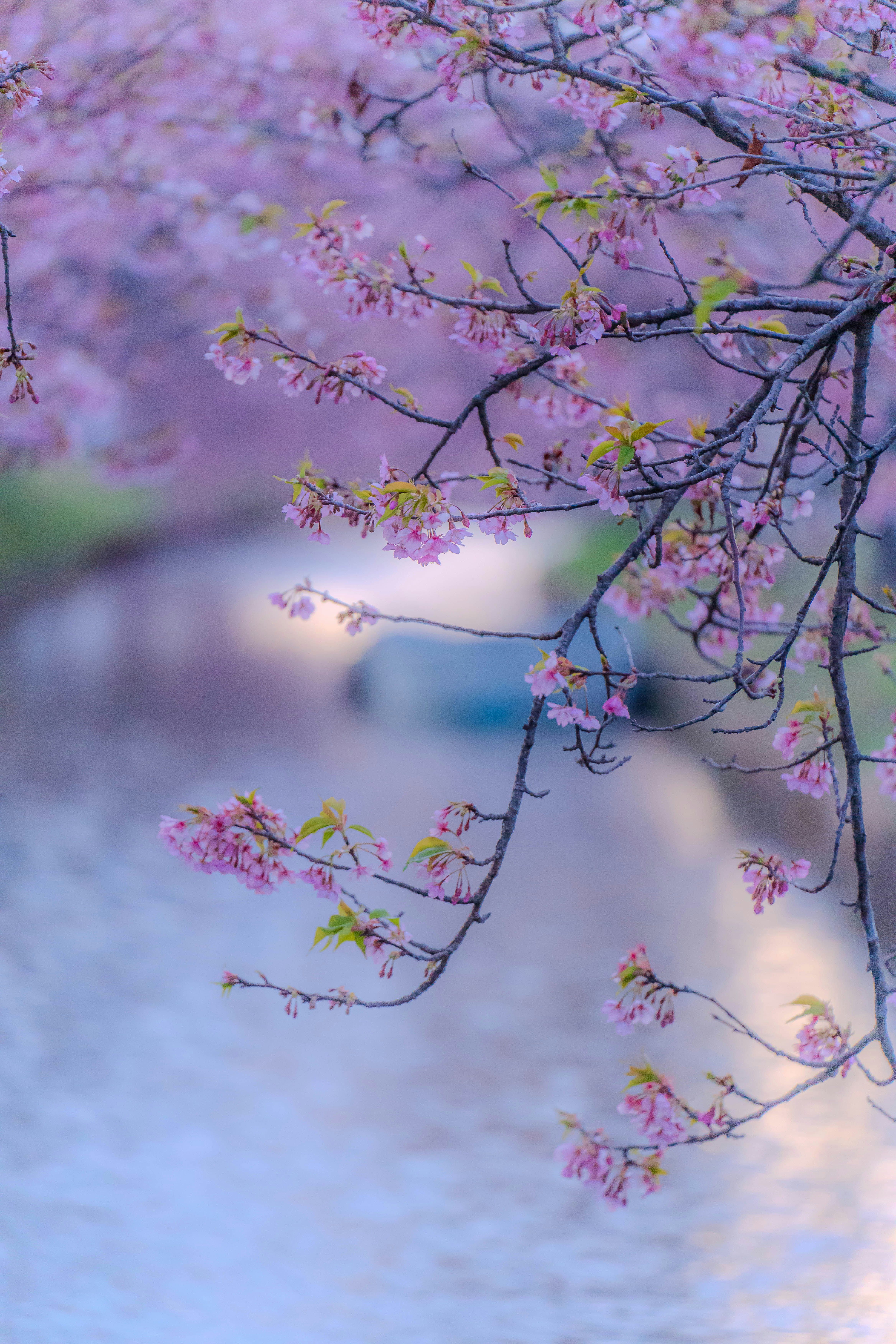 虞美人·春花秋月何时了-3.jpg