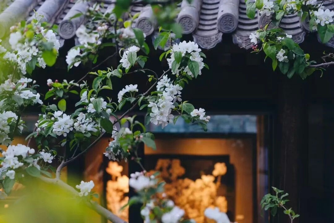 蝶恋花·阅尽天涯离别苦-2.png